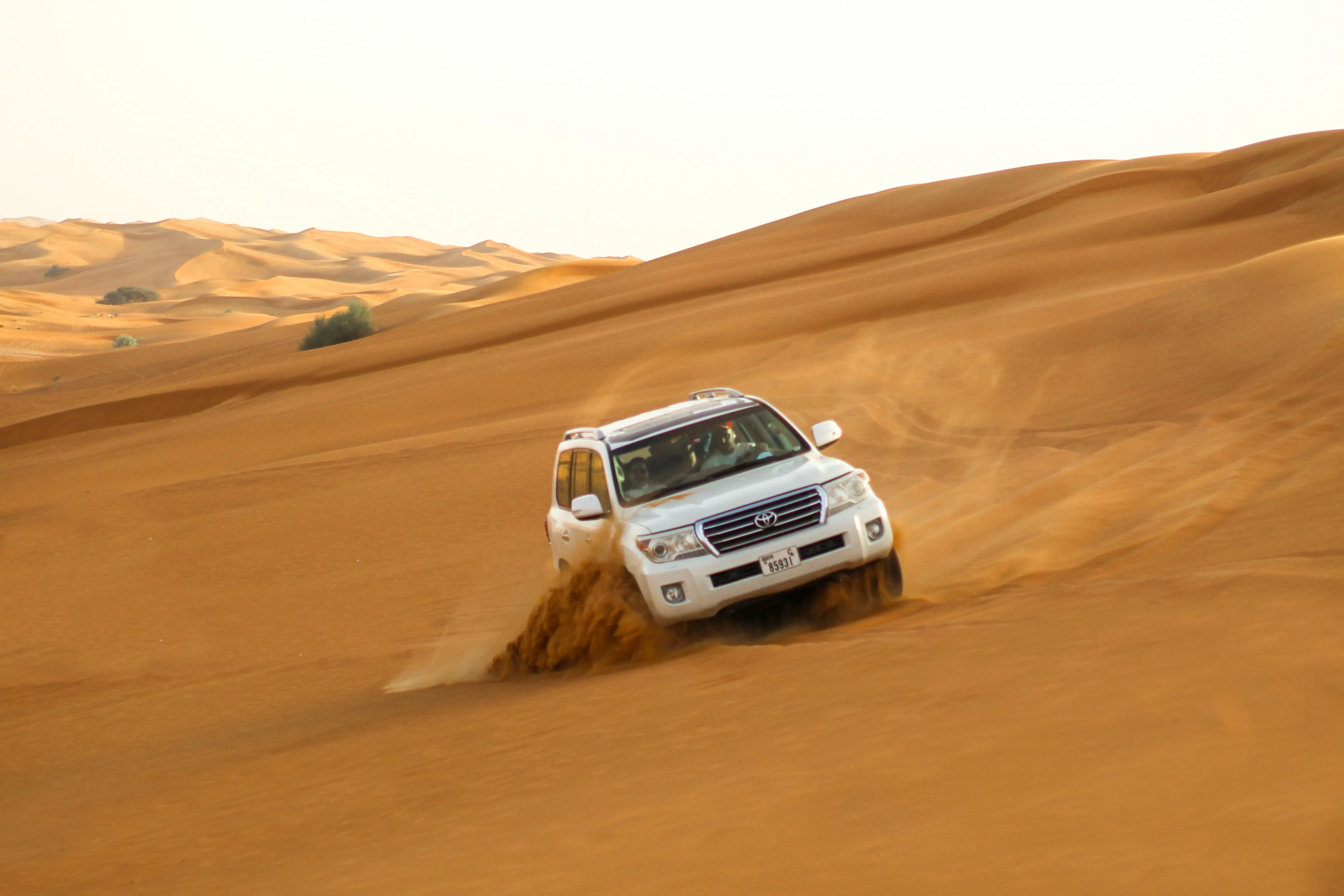 Desert Safari Pack - Al Awir desert