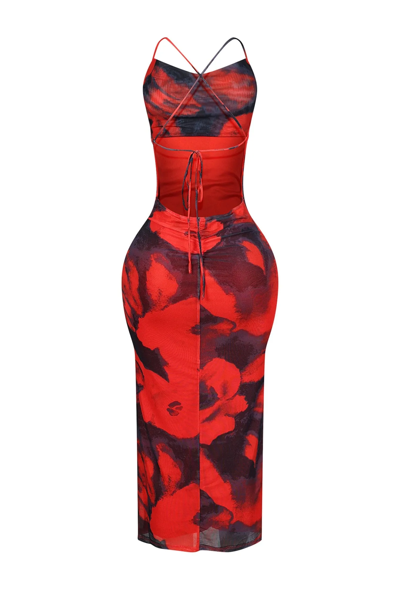 Leslie Mesh Rose Print Halter Midi Dress