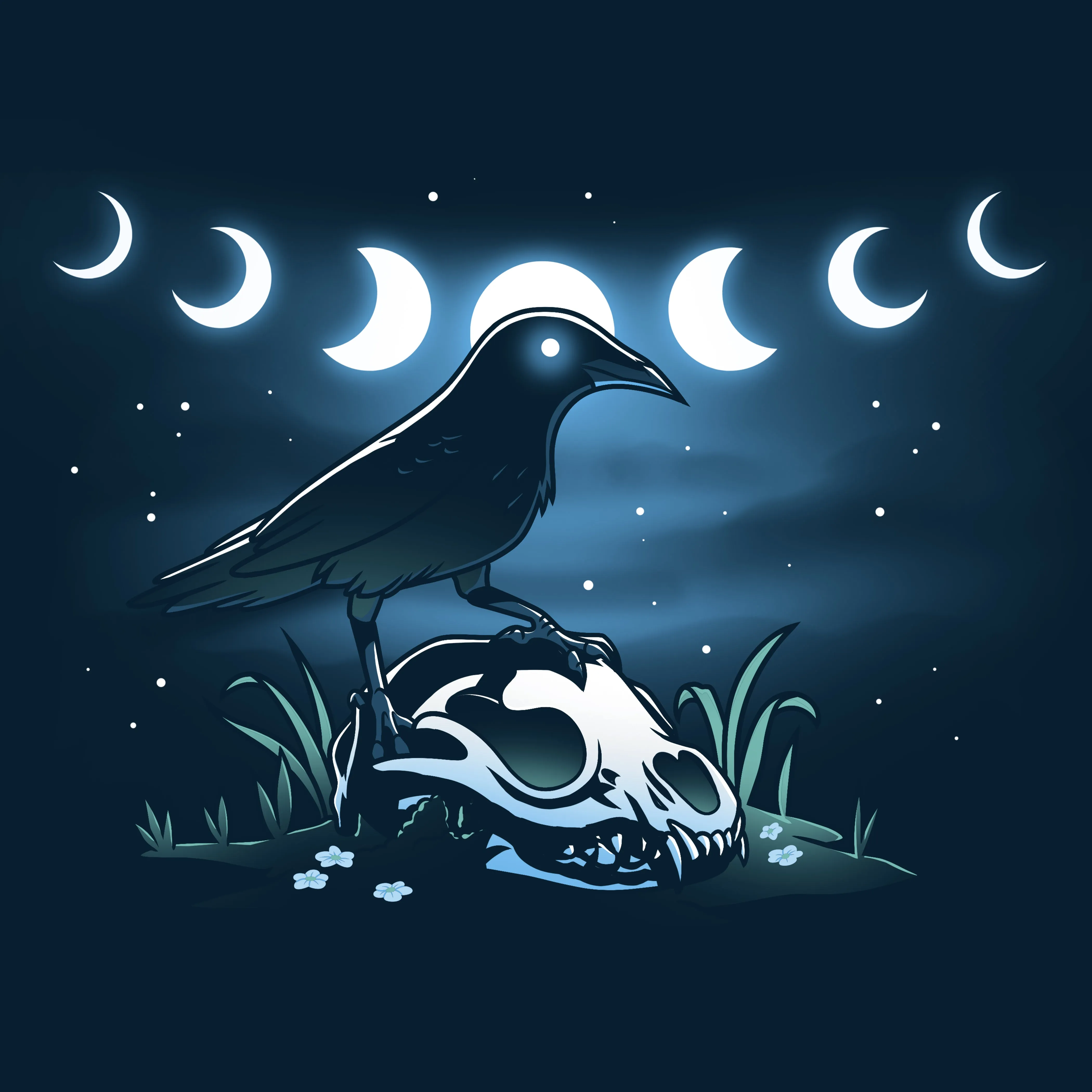 Mystical Crow