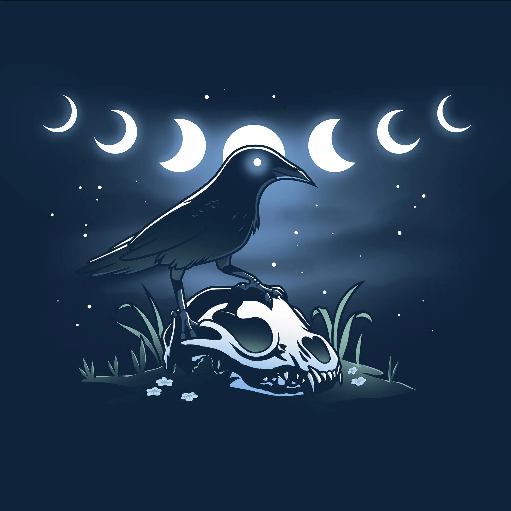 Mystical Crow