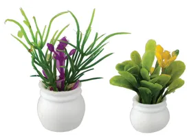 Plants, Set of Two